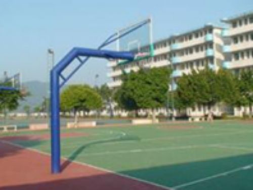 學(xué)校白蟻防治案例