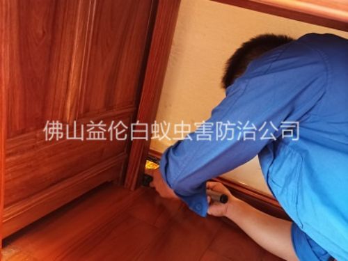 佛山木質家具白蟻防治工程