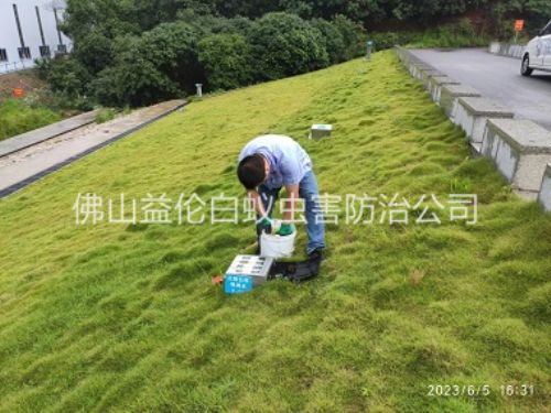 南海水利堤壩鼠害防控工程