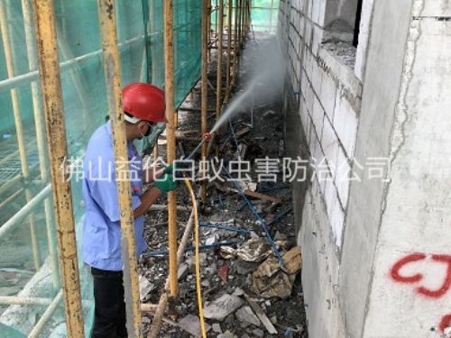 佛山建筑白蟻預防工程