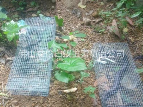 順德驅蛇防蛇工程