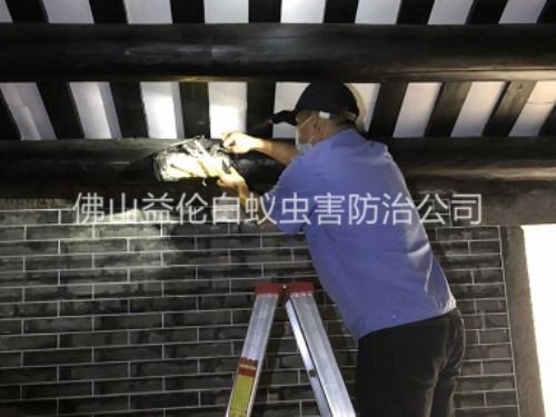 禪城祠堂殺滅白蟻工程