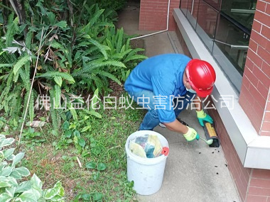 三水施藥滅鼠工程